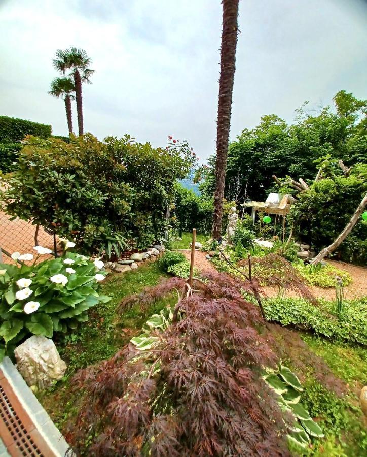 I Vallata Paradise I Free Parking - Garden&View - 10Minutes From Lugano Buitenkant foto