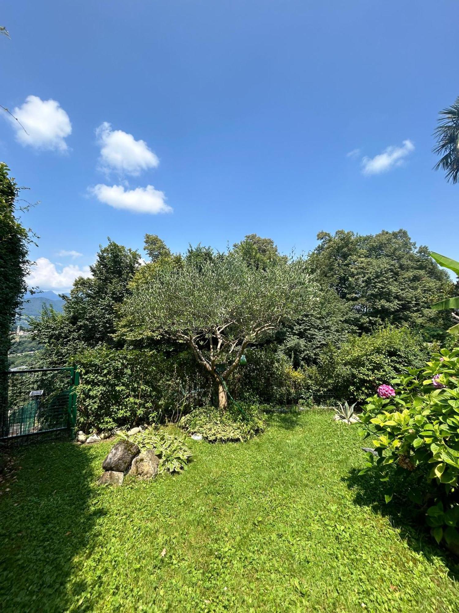 I Vallata Paradise I Free Parking - Garden&View - 10Minutes From Lugano Buitenkant foto